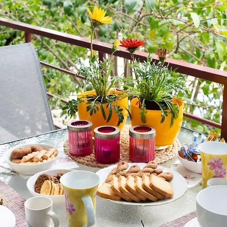 Urban Bloom Oasis - Mini Zen Maison Apartament