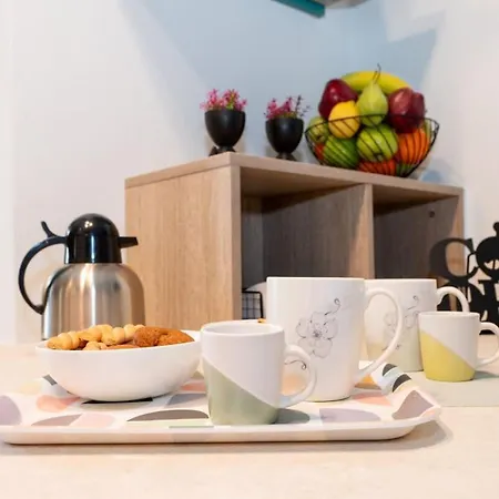 Urban Bloom Oasis - Mini Zen Maison * Akovítika