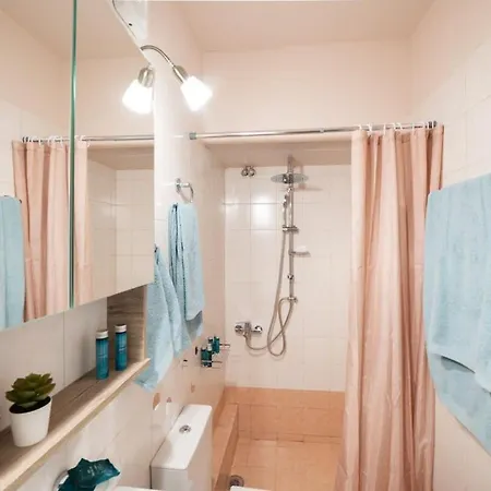 Urban Bloom Oasis - Mini Zen Maison *