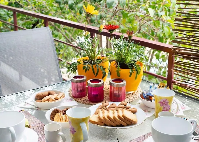 Urban Bloom Oasis - Mini Zen Maison Lejlighed