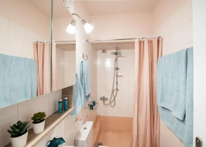 Urban Bloom Oasis - Mini Zen Maison *